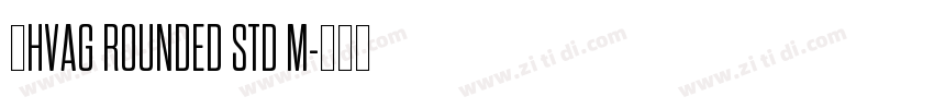 韩HVAG ROUNDED STD M字体转换